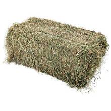Bales