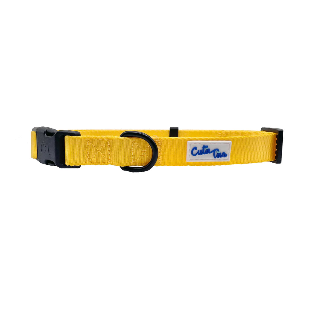 Cutie Ties Fun Design Dog Collar