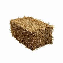 Straw Bale