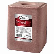 Salt Block