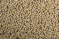 Lay Pellets 16% w/ Oyster Shell