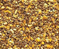 Recleaned Grain