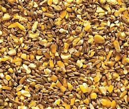 Recleaned Grain