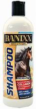 Banixx Medicated Shampoo
