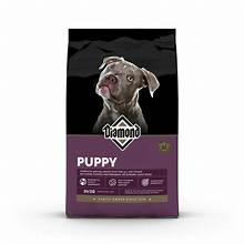 Diamond Puppy 31/20 40lbs
