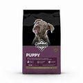 Diamond Puppy 31/20 40lbs