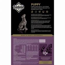 Diamond Puppy 31/20 40lbs