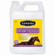 Corona Concentrated Shampoo 3 liters