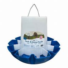 Duck & Goose Feeder