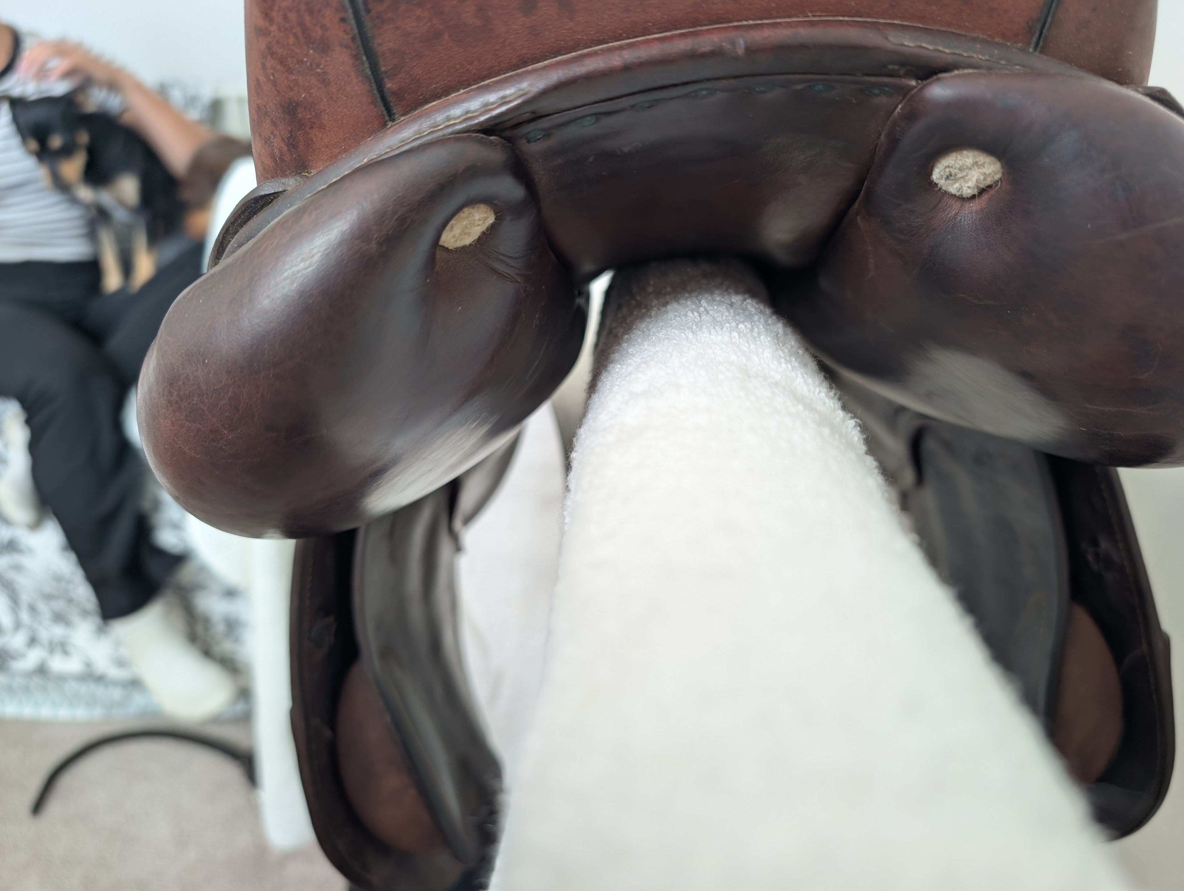 Saddle - 15" CWD
