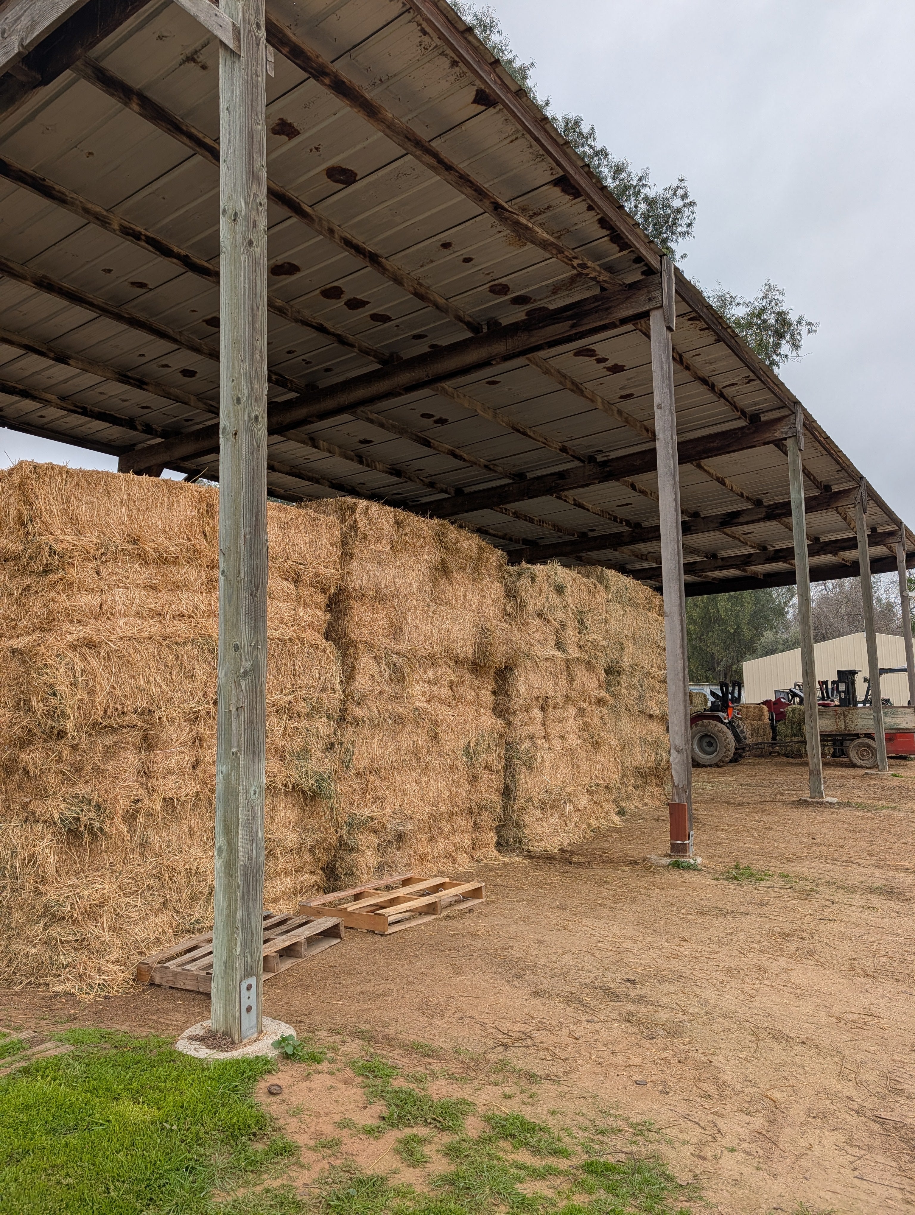 East Hill Feed and Supply