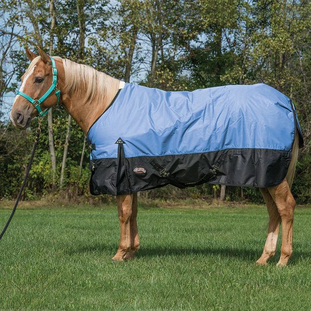 Weaver Economy Turnout Blanket