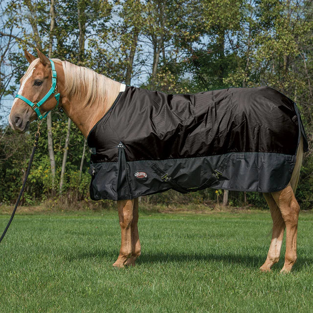 Weaver Economy Turnout Blanket