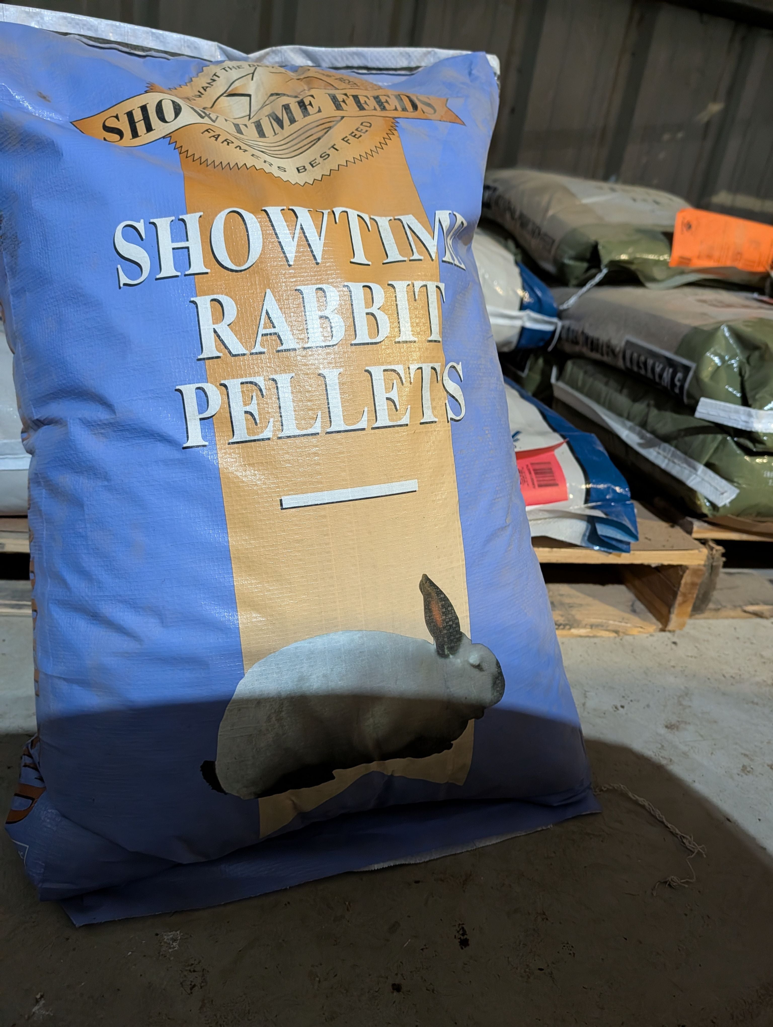 Showtime Rabbit