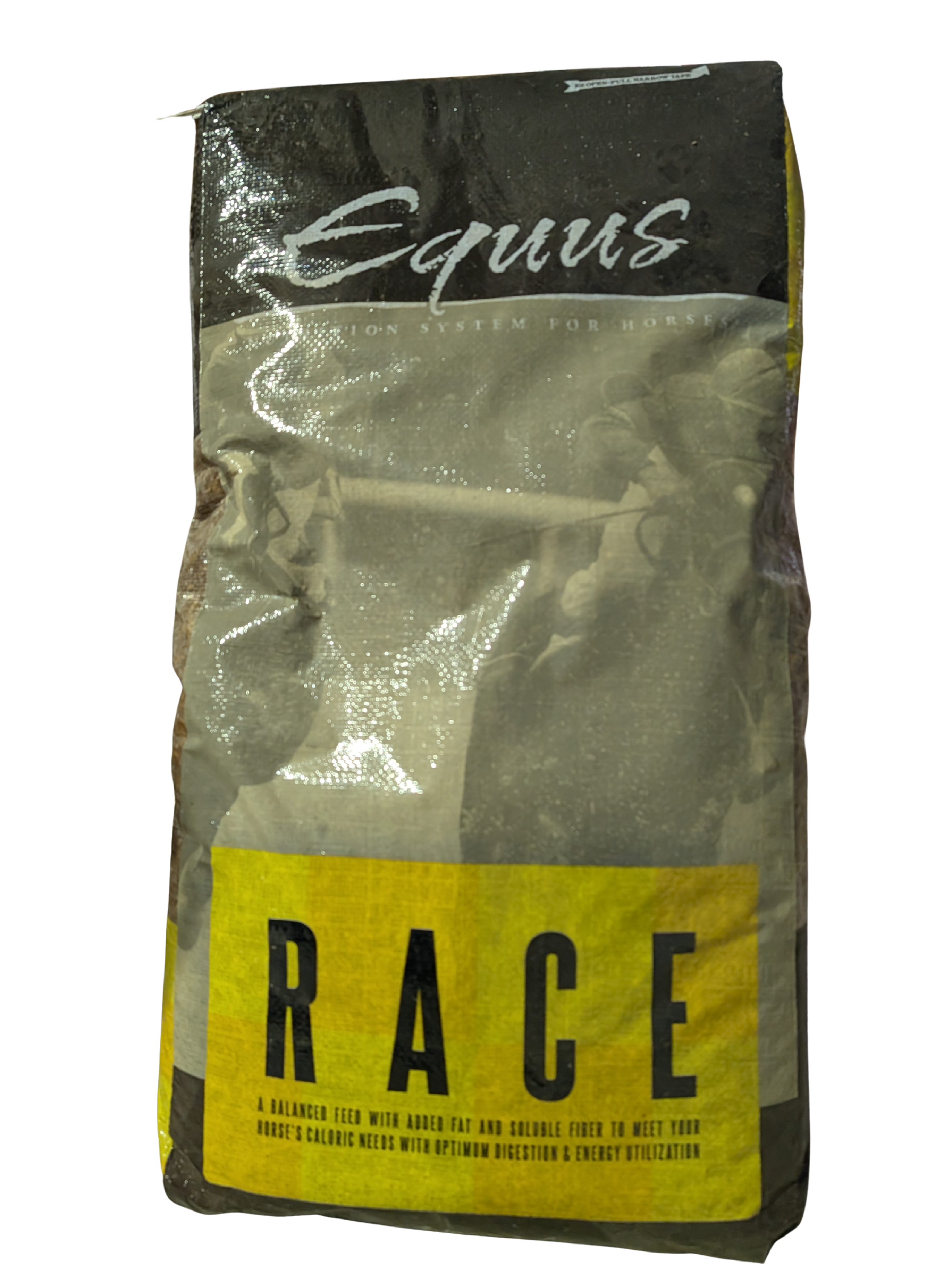 Equus Race