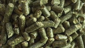 Alfalfa Hay Pellets