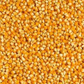 Whole Corn